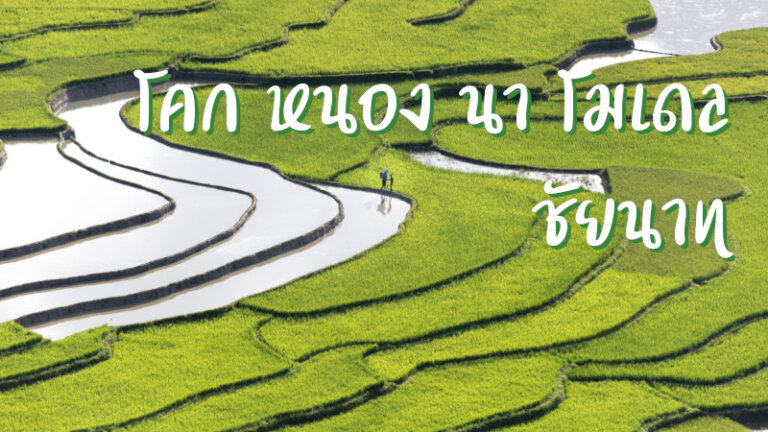 โคก หนอง นา โมเดล ชัยนาท