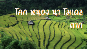โคก หนอง นา โมเดล ตาก