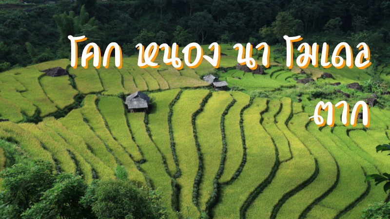 โคก หนอง นา โมเดล ตาก