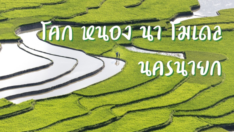 โคก หนอง นา โมเดล นครนายก
