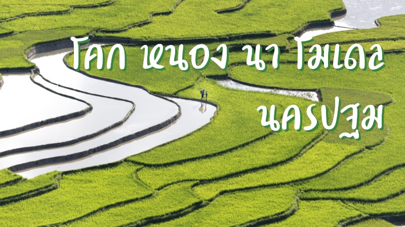 โคก หนอง นา โมเดล นครปฐม