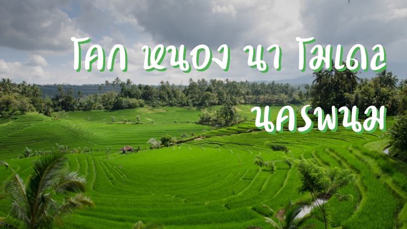 โคก หนอง นา โมเดล นครพนม