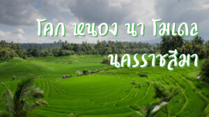 โคก หนอง นา โมเดล นครราชสีมา