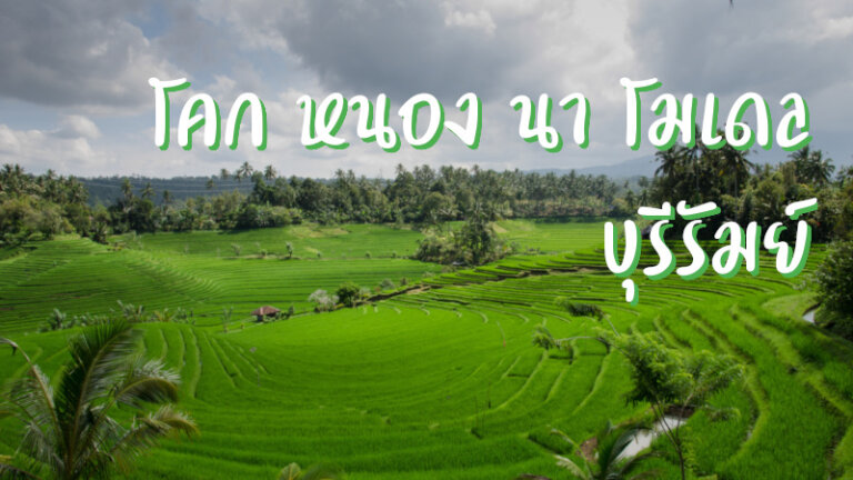 โคก หนอง นา โมเดล บุรีรัมย์