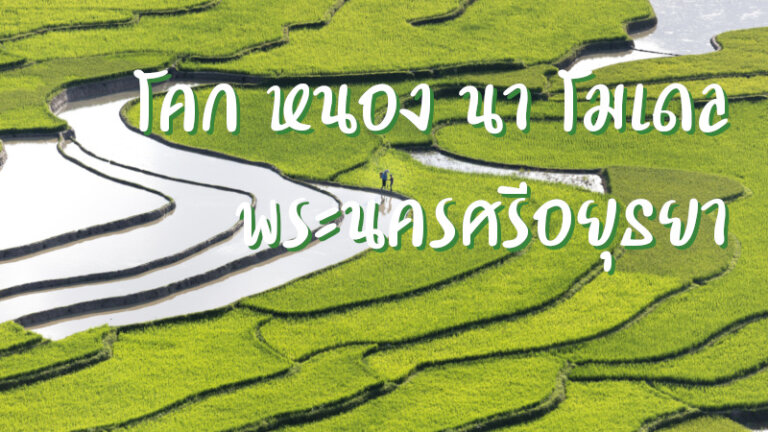 โคก หนอง นา โมเดล พระนครศรีอยุธยา