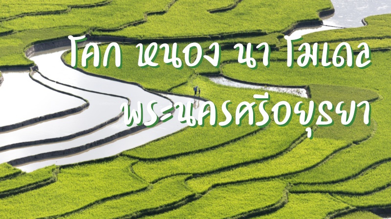 โคก หนอง นา โมเดล พระนครศรีอยุธยา