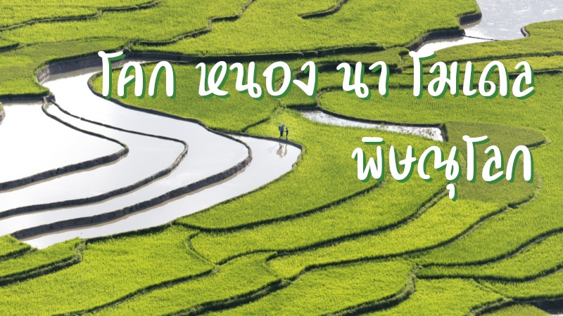 โคก หนอง นา โมเดล พิษณุโลก