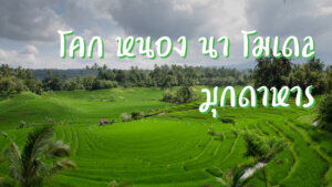 โคก หนอง นา โมเดล มุกดาหาร