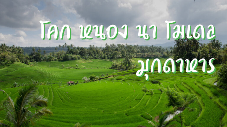 โคก หนอง นา โมเดล มุกดาหาร