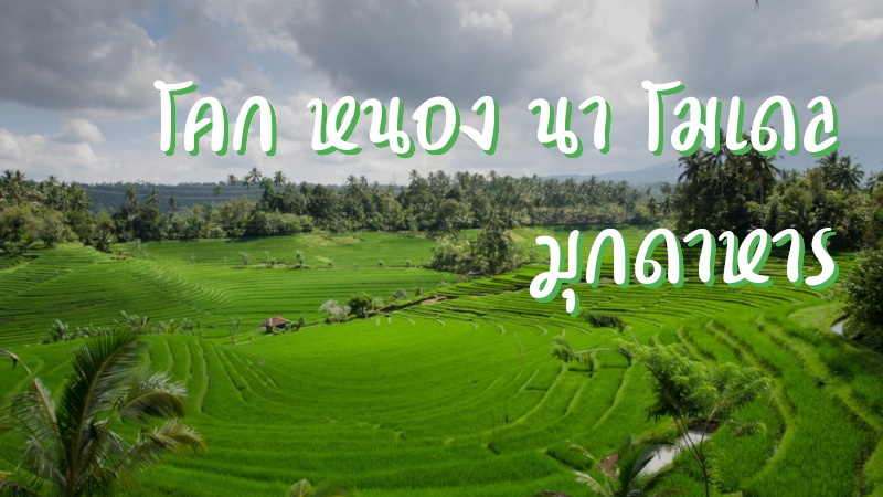 โคก หนอง นา โมเดล มุกดาหาร