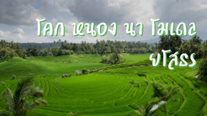 โคก หนอง นา โมเดล ยโสธร