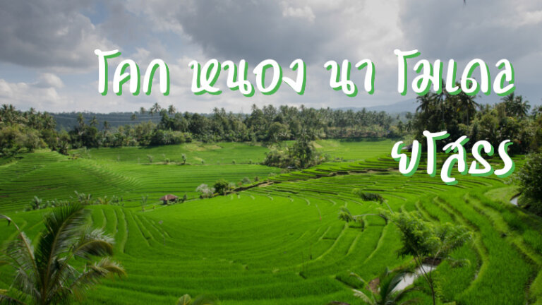 โคก หนอง นา โมเดล ยโสธร