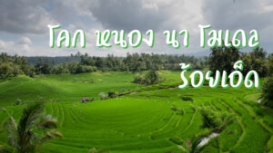 โคก หนอง นา โมเดล ร้อยเอ็ด