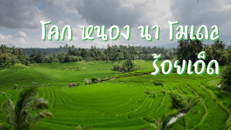 โคก หนอง นา โมเดล ร้อยเอ็ด