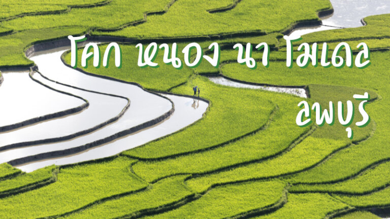 โคก หนอง นา โมเดล ลพบุรี