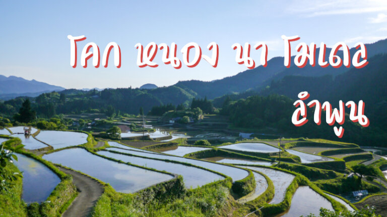 โคก หนอง นา โมเดล ลำพูน