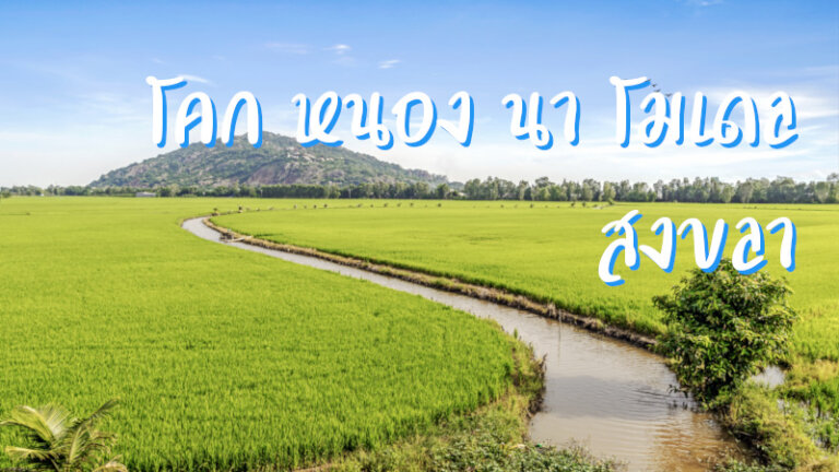 โคก หนอง นา โมเดล สงขลา