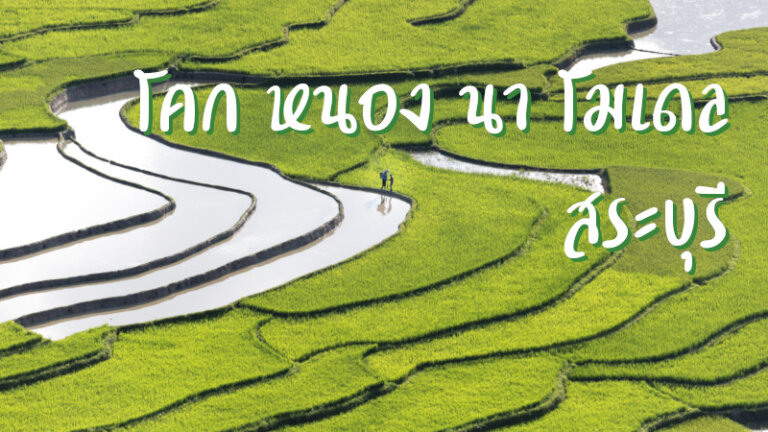 โคก หนอง นา โมเดล สระบุรี