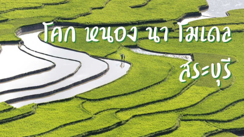 โคก หนอง นา โมเดล สระบุรี
