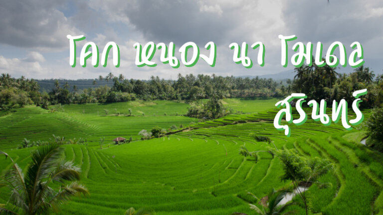 โคก หนอง นา โมเดล สุรินทร์