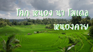 โคก หนอง นา โมเดล หนองคาย