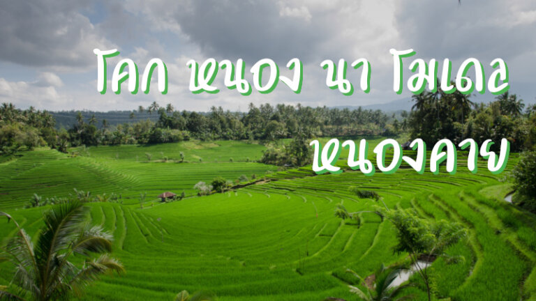 โคก หนอง นา โมเดล หนองคาย