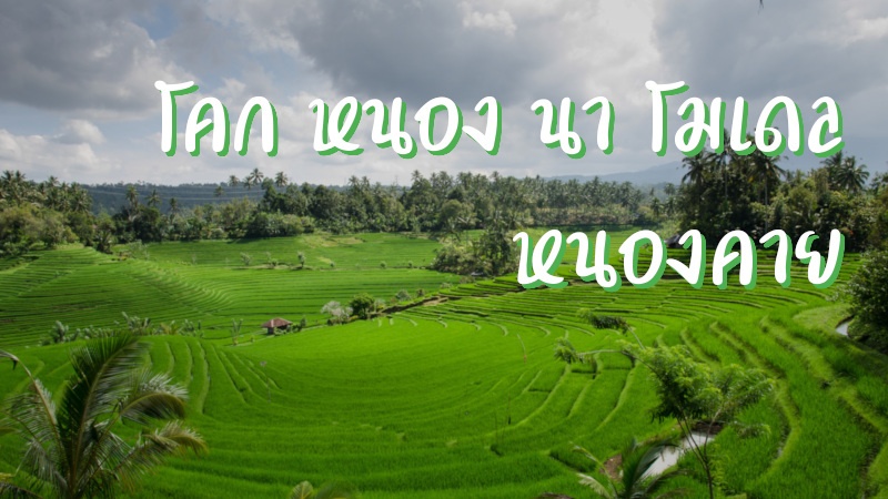 โคก หนอง นา โมเดล หนองคาย