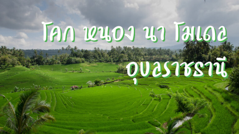 โคก หนอง นา โมเดล อุบลราชธานี