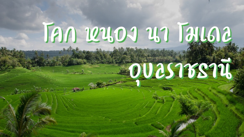 โคก หนอง นา โมเดล อุบลราชธานี