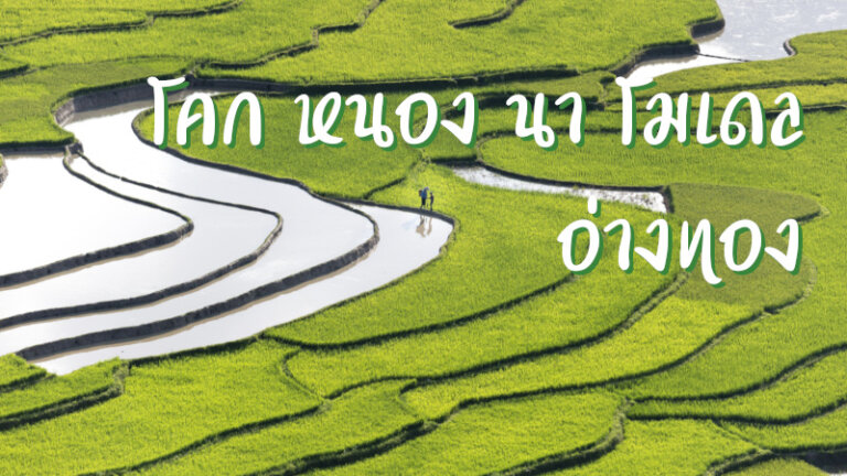 โคก หนอง นา โมเดล อ่างทอง