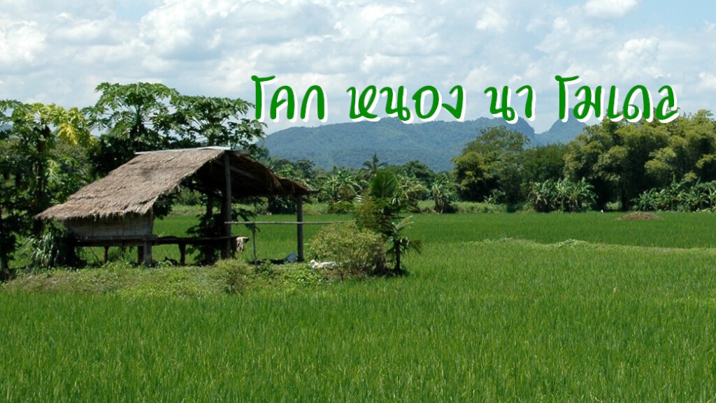 โคก หนอง นา โมเดล