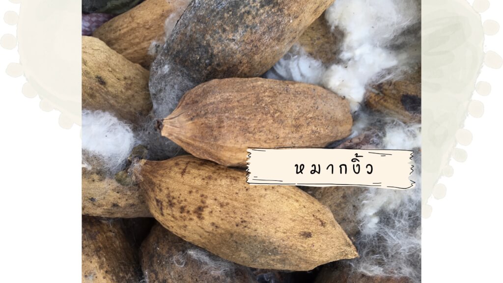 หมากงิ้ว