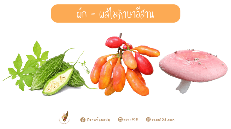 ผลไม้ภาษาอีสาน และผักต่าง ๆ ในภาษาอีสาน