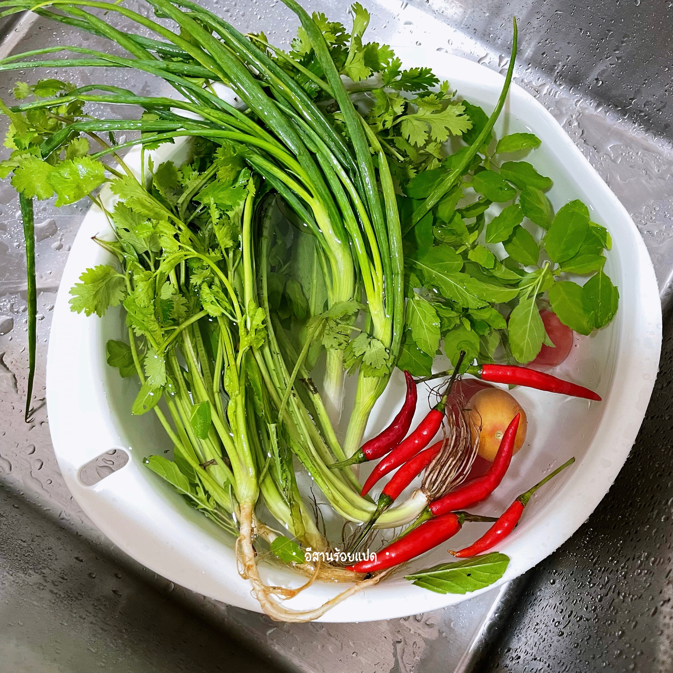 ล้างผักให้สะอาด