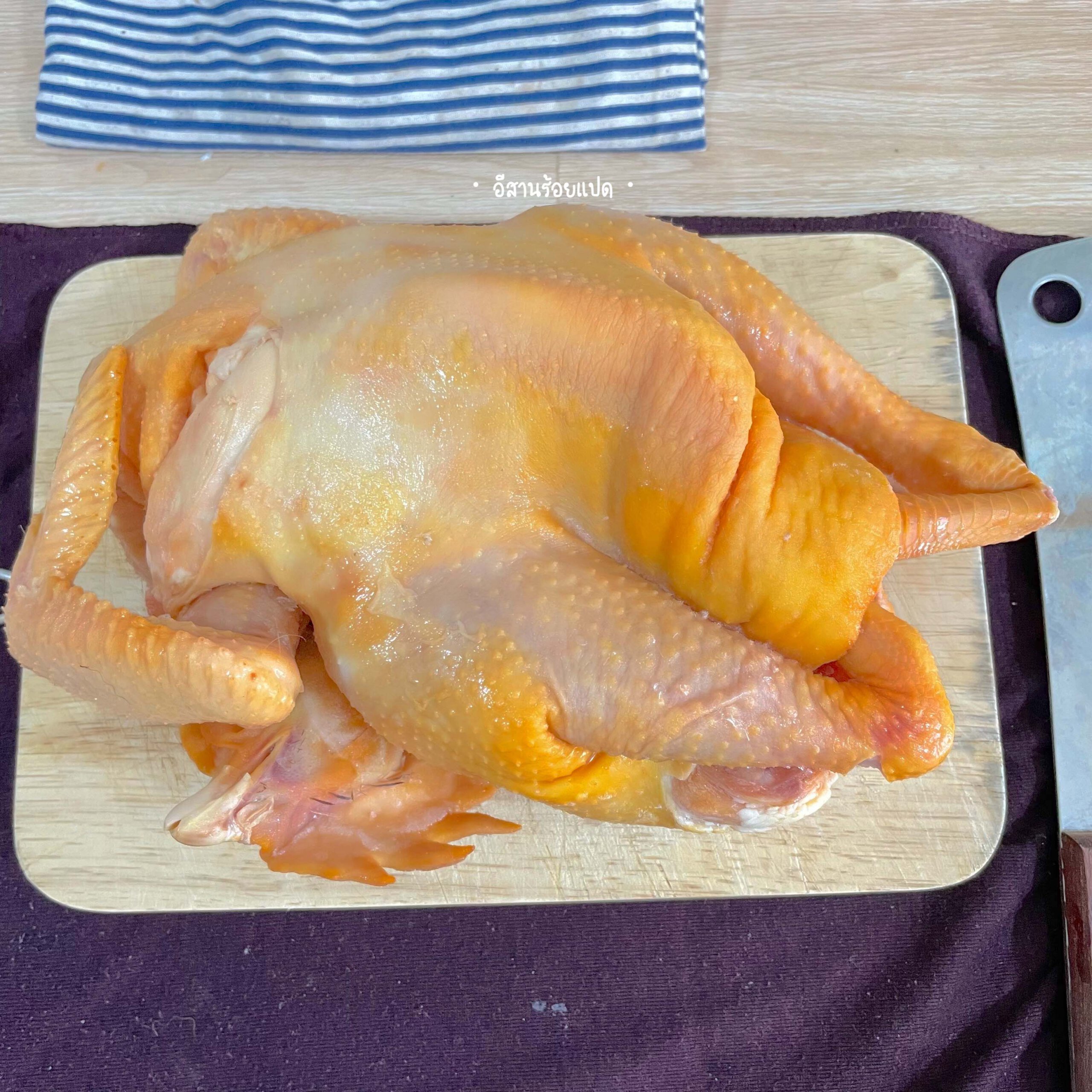 ไก่บ้านตัวใหญ่