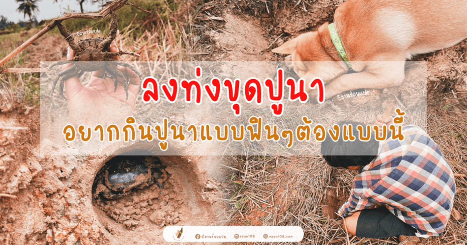 ลงท่งขุดปูนา