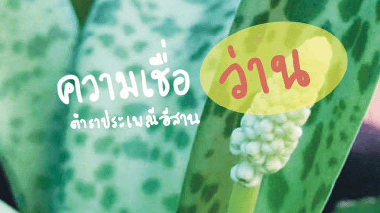 ความศักดิ์สิทธิ์ของว่าน