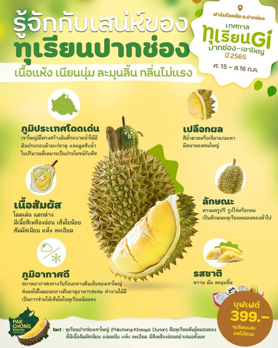 จุดเด่นทุเรียน GI ปากช่อง-เขาใหญ่
