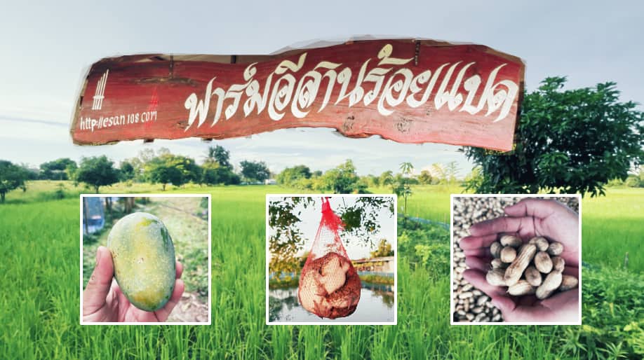ฟาร์มอีสานร้อยแปด