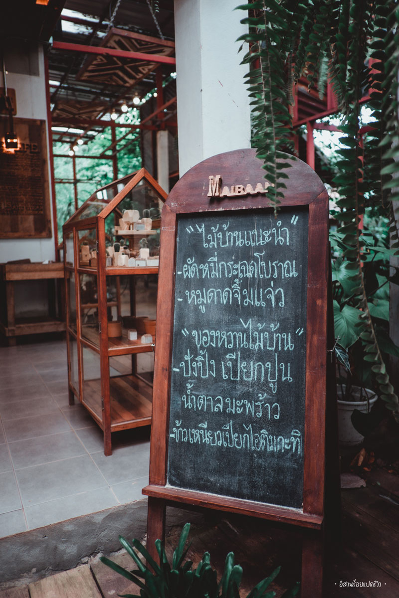 เมนูแนะนำเด็ดสุด ต้องลอง