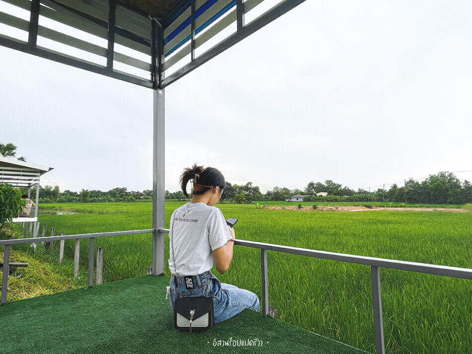 อ่ะ ถ่ายรูปเก็บบรรยากาศท้องทุ่งนาซักหน่อย