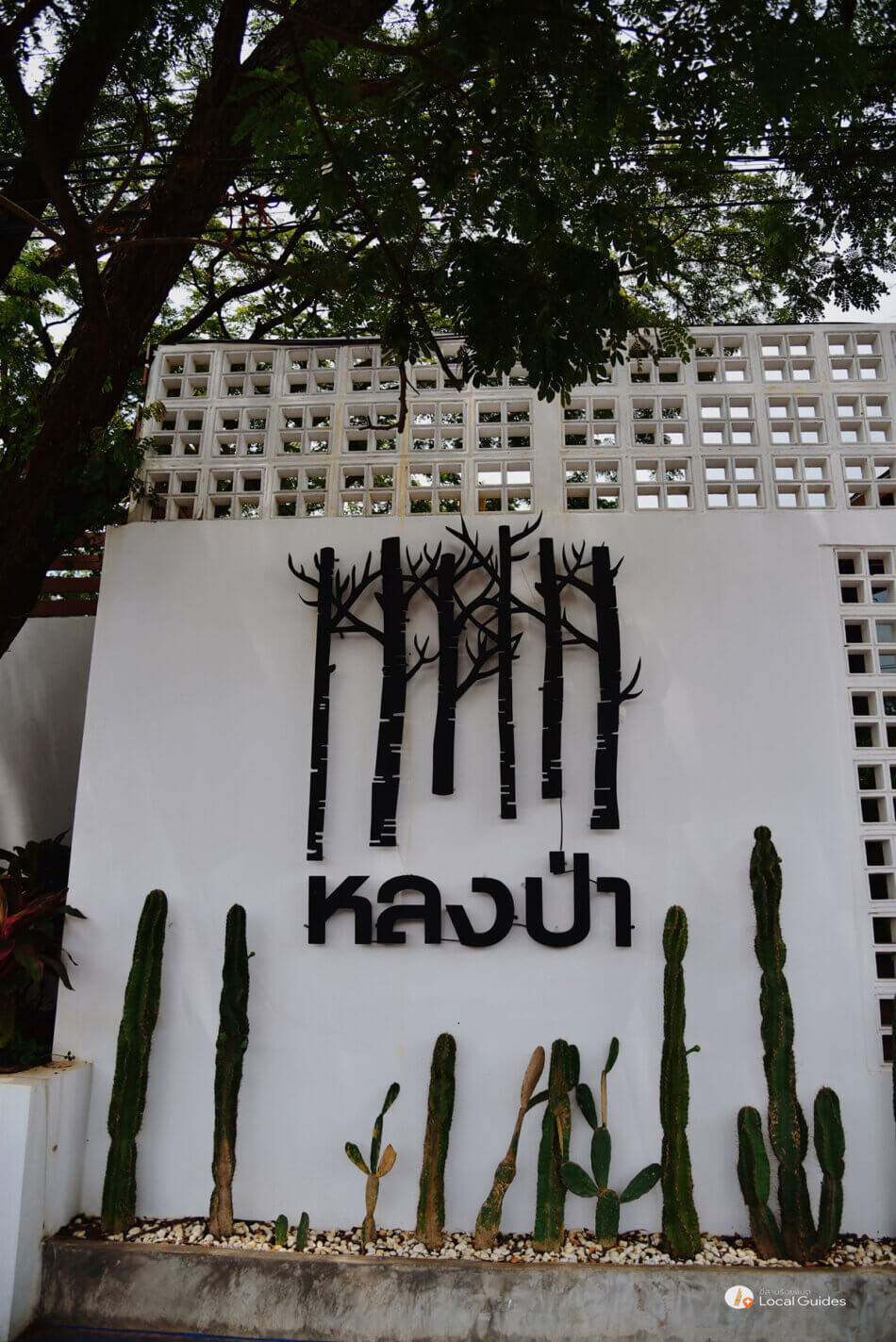 หลงป่าคาเฟ่