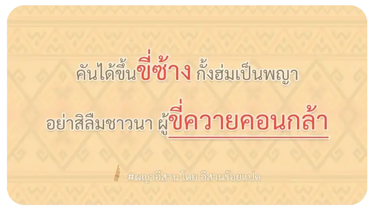 ผญา ขี่ช้าง