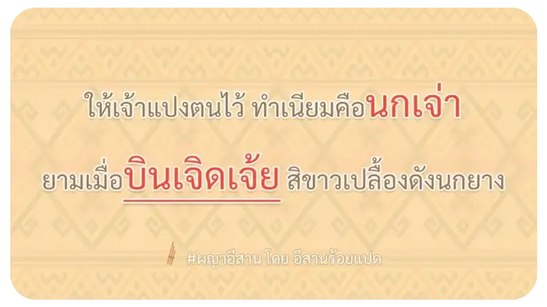 ผญา บินเจิดเจ้ย