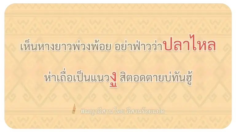 ผญา อย่าฟ้าวว่าปลาไหล