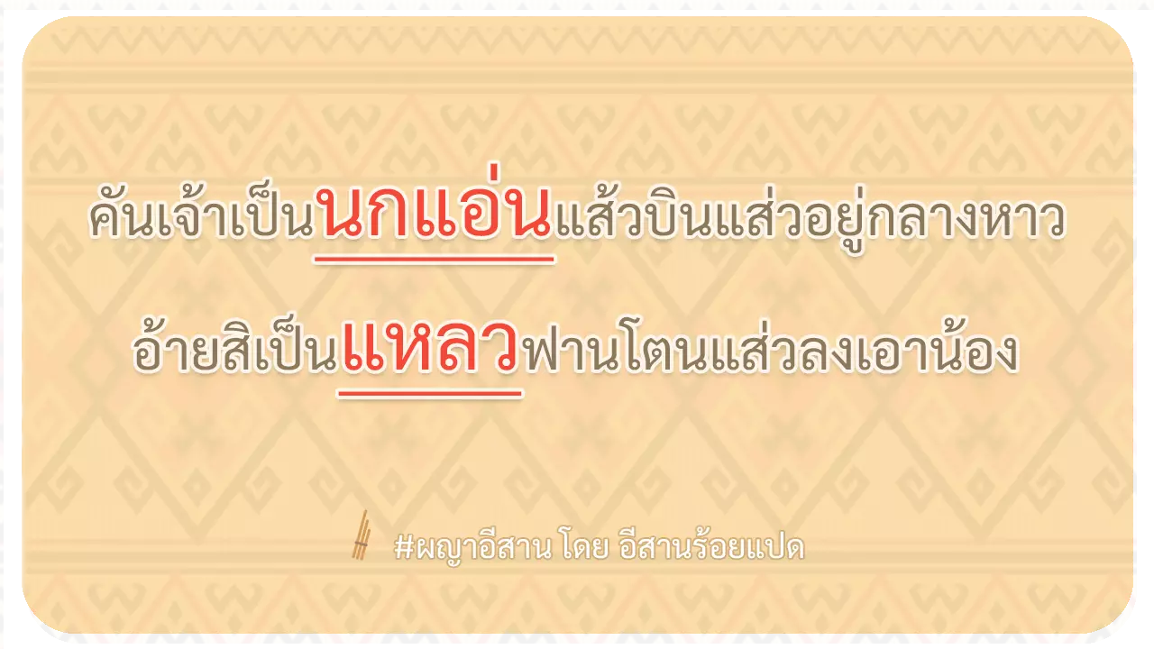 ผญา คันเจ้าเป็นนกแอ่นแส้ว บินแส่ว อยู่กลางหาว