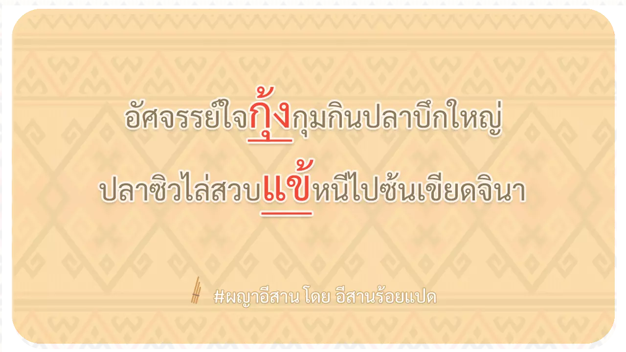 ผญา อัศจรรย์ใจกุ้ง กุมกิน ปลาบึกใหญ่