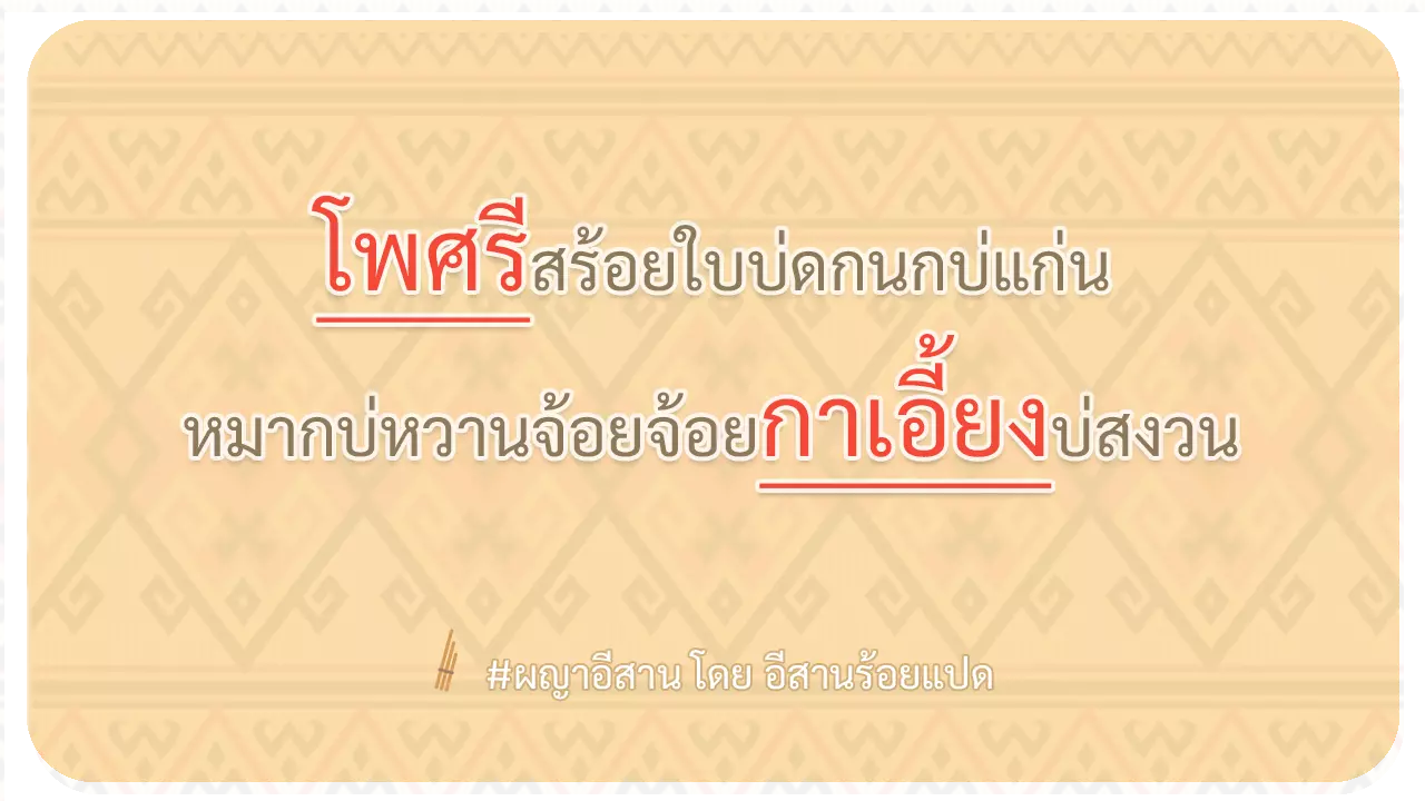 ผญา โพศรีสร้อย ใบบ่ดกนกบ่แก่น