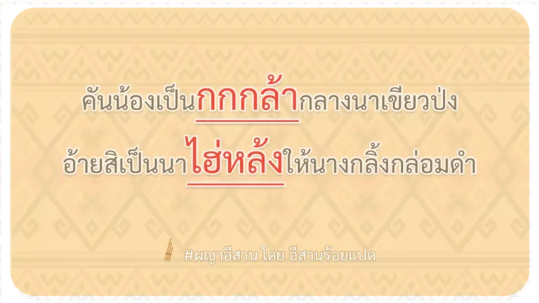 ผญา-คันน้องเป็นกกกล้ากลางนาเขียวป่ง