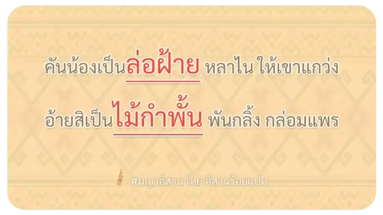 ผญา-คันน้องเป็นล่อฝ้าย หลาไน ให้เขาแกว่ง